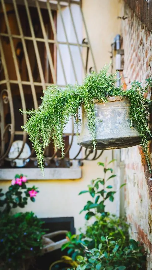 Babacco Lovely Terrace Apartment Montepulciano